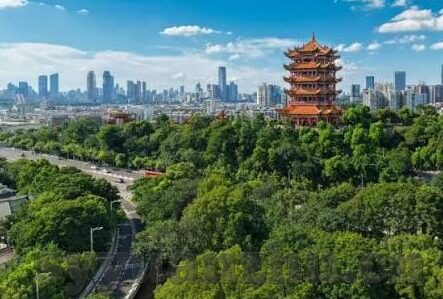 成人麻豆手机av在线-解锁成人娱乐的恰当观看指南，为何安全意识与边界的认知至关重要