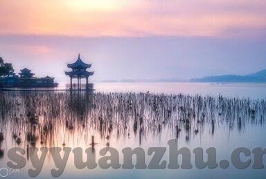 大象传媒综艺-探索大象传媒综艺的多元魅力与文化影响