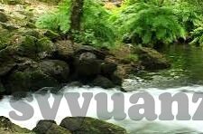 麻豆AV沈樵-网红迷局，麻豆AV沈樵的网络风波与公众审视的演变