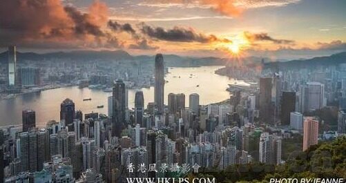 麻豆传媒果冻传媒-揭秘网络背后的灰色地带，不可不察的麻豆传媒与果冻传媒