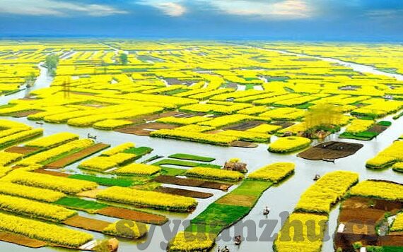 麻豆黄片视频app-保护网络安全，勿涉足麻豆黄片视频APP的诱惑