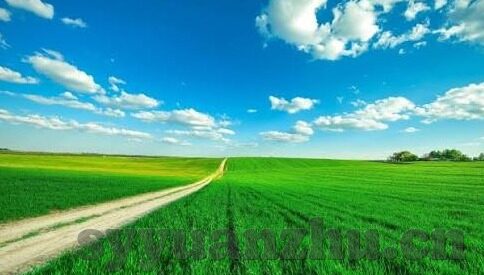 糖心app苹果版下载安装-打造个性化娱乐体验，了解糖心APP在苹果设备上的下载与安装流程
