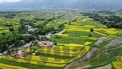 糖心vlog下载最新地址-糖心Vlog，探寻最新下载地址的乐趣